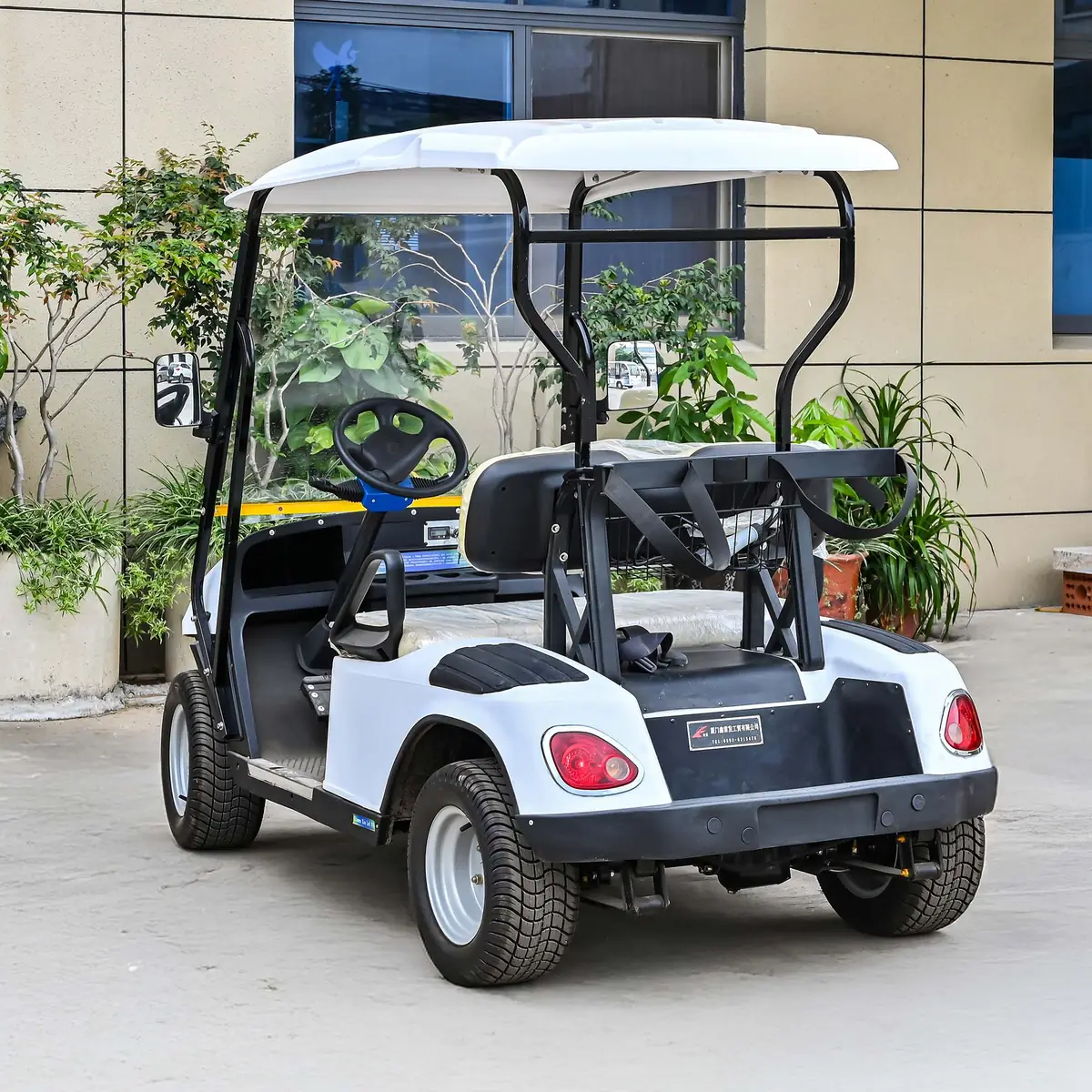 LF-GD402A Golf Cart - 图片 6
