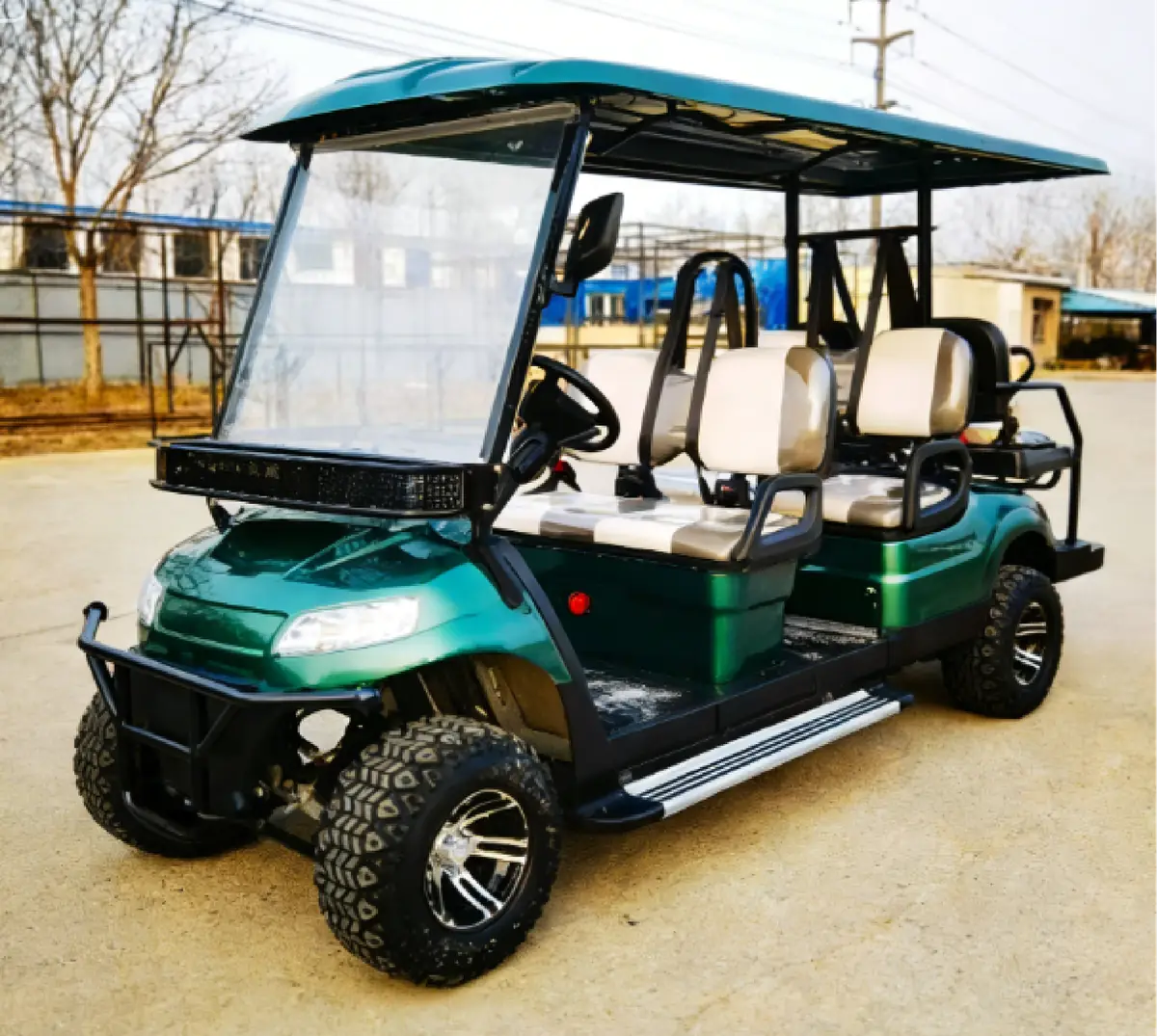 LF-GD406B Golf Cart - 图片 5