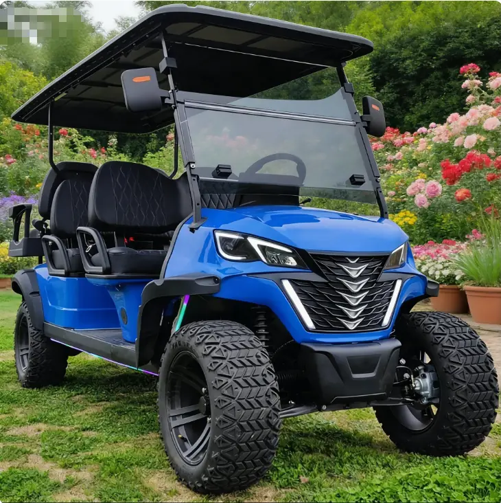 LF-GD406B Golf Cart - 图片 3