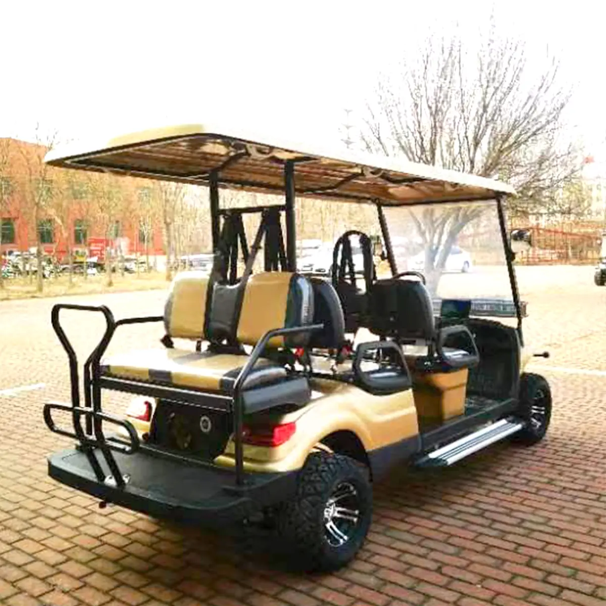 LF-GD406A Golf Cart - 图片 3