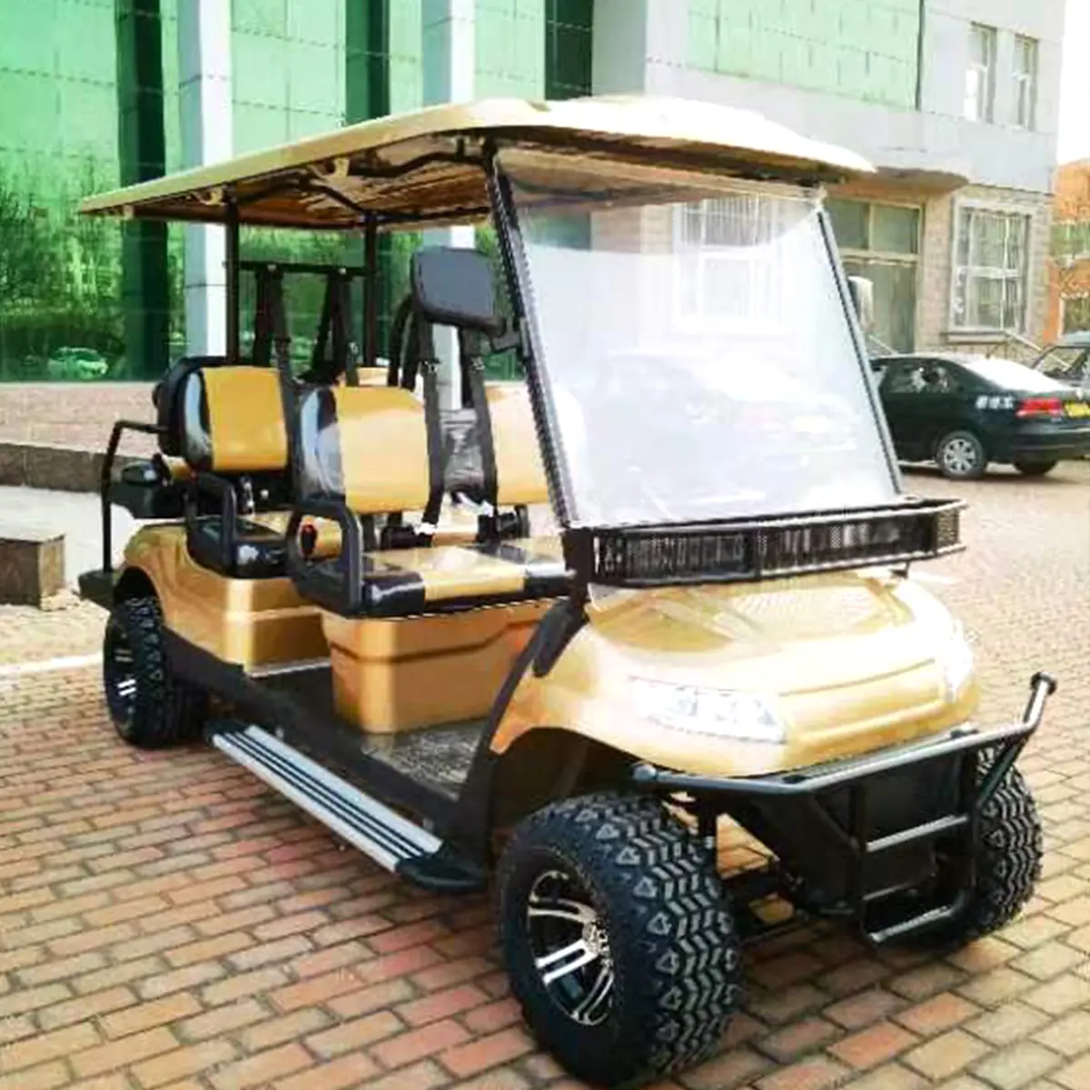 LF-GD406A Golf Cart - 图片 2