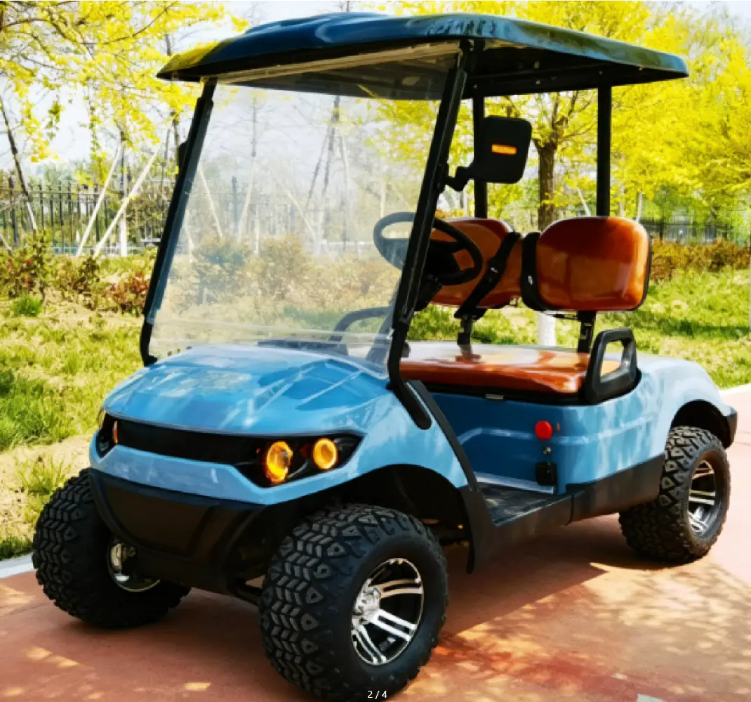 LF-GD402E Golf Cart - 图片 4