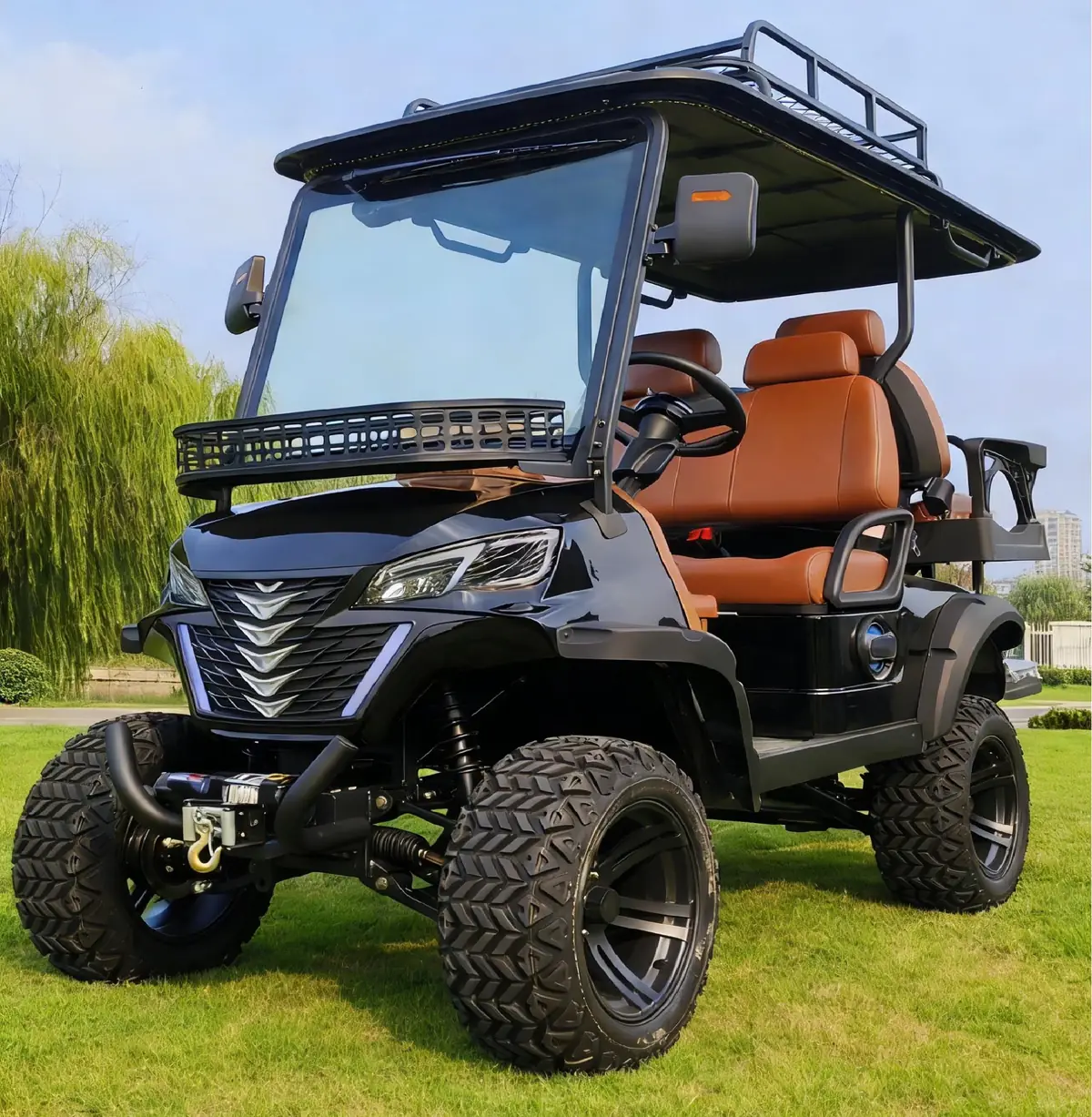 LF-GD404E Golf Cart - 图片 3