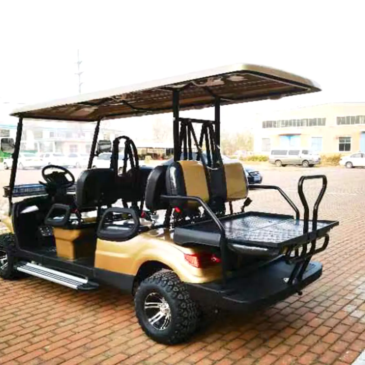 LF-GD406A Golf Cart - 图片 7