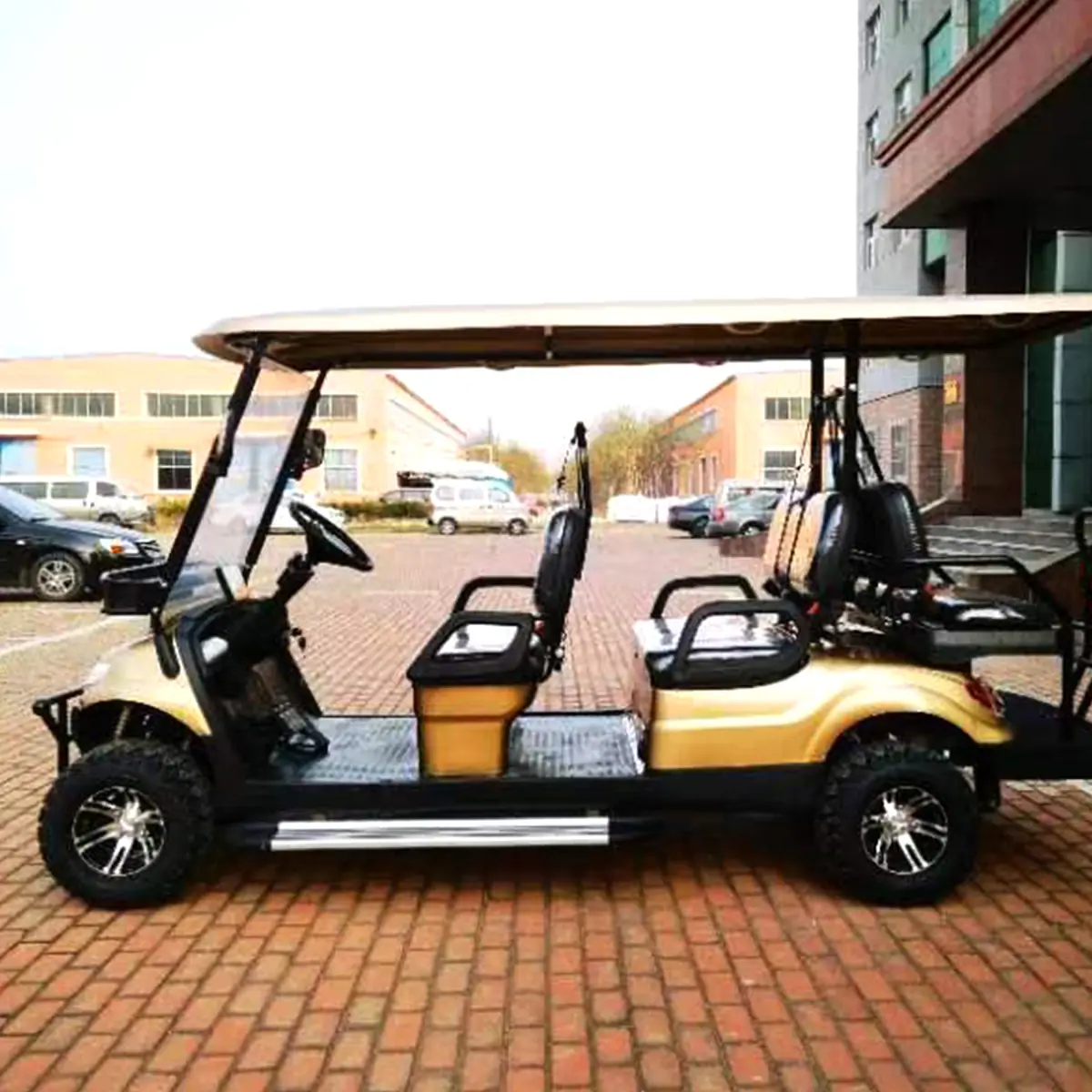 LF-GD406A Golf Cart - 图片 6