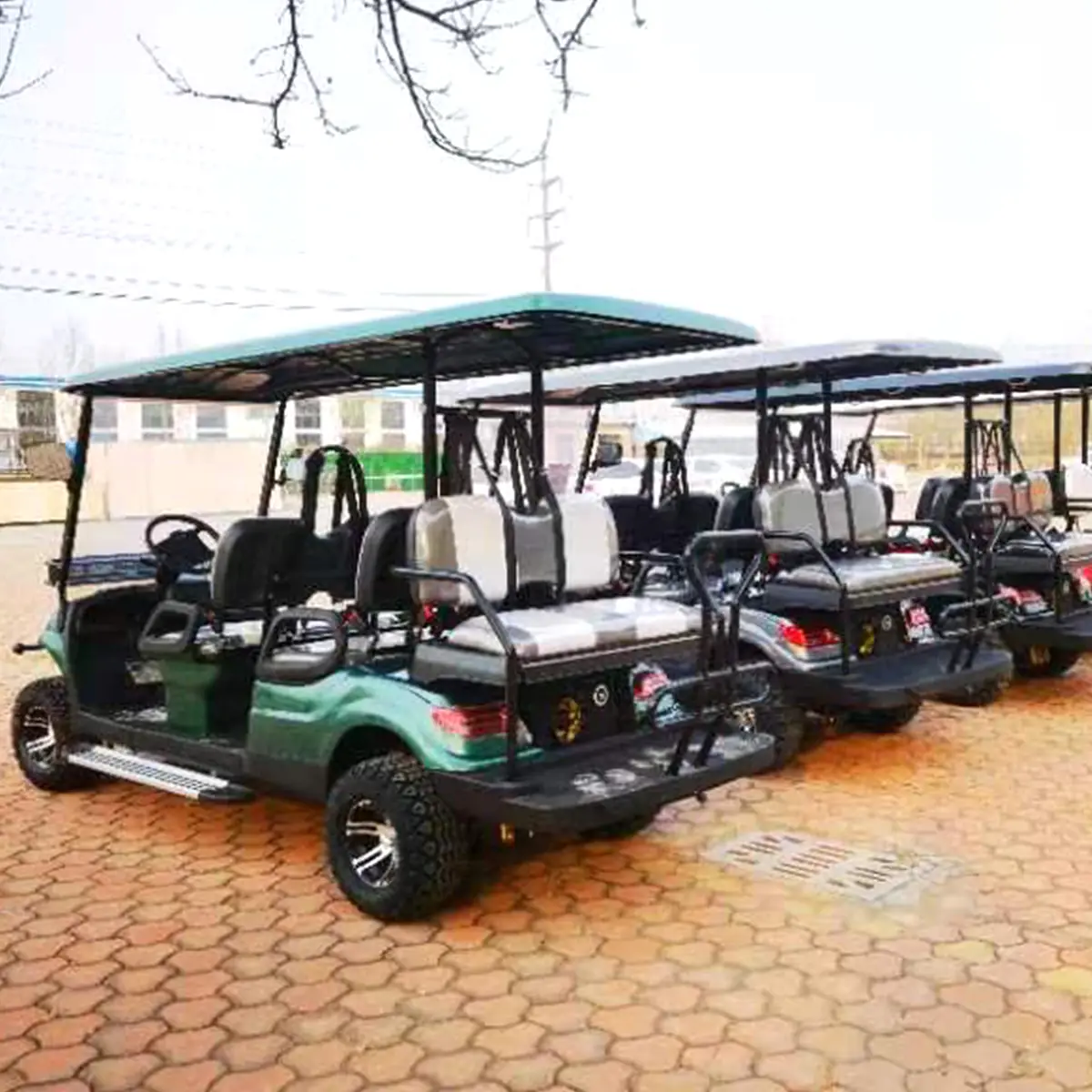 LF-GD406A Golf Cart - 图片 4